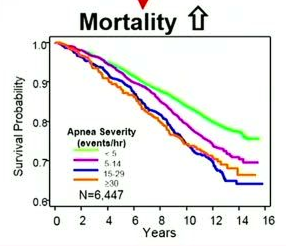 Survival-probability chart linking sleep-apnea severity to mortality, extracted from a lecture slide