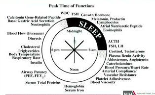 A circular clock diagram with a central 8-spoked wheel. The clock face is marked with 'Midnight', '6 am', 'Noon', and '6 pm'. A black arc labeled 'SLEEP' covers the upper right quadrant. Text labels are arranged radially around the outer circle, listing biological functions such as 'WBC', 'TSH', 'Growth Hormone', 'Melatonin, Prolactin', 'ACTH', 'Cortisol, Testosterone', 'Blood Pressure/Heart Rate', 'Hemoglobin', 'Airway Patency', 'Cholesterol', and 'Blood Flow'. At the top, the title reads 'Peak Time of Functions'.