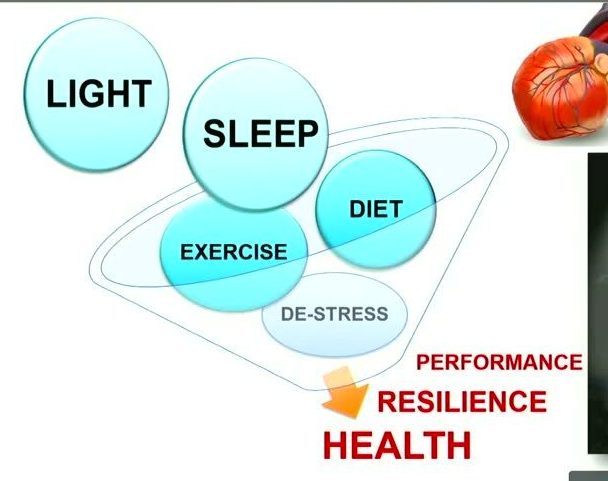 A diagram with light blue circular bubbles containing text labels: LIGHT, SLEEP, DIET, EXERCISE, and DE-STRESS. These bubbles are arranged in a descending diagonal pattern from left to right, enclosed by thin grey orbital loop lines that funnel down towards a downward-pointing orange arrow. Below the arrow, the words PERFORMANCE, RESILIENCE, and HEALTH are stacked vertically in red text.